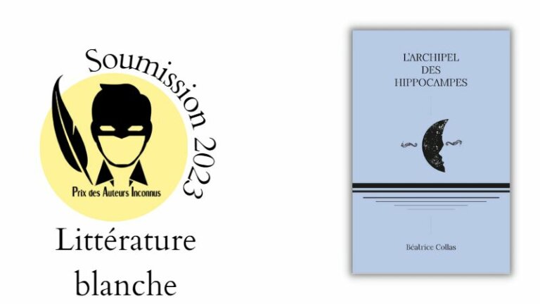 Couverture du roman : on y voit, en voir sur fond bleu très pale, un croissant de lune dans lequel se découpe le profil d'un visage. De part et d'autre de ce croissant, un hippocampe horizontal qui dessine l’œil du visage d'un côté et son symétrique de l'autre. Sous cet ensemble, 6 lignes noires horizontales de moins en moins épaisse et de moins en moins large au fur et à mesure qu'on va vers le bas.