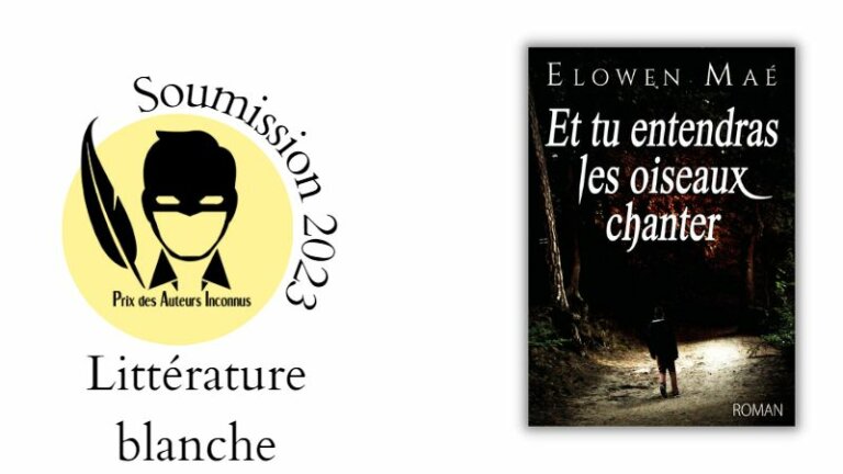 Couverture du roman : On y voit un garçon en culotte courte de dos qui marche sur un chemin sombre dans une forêt
