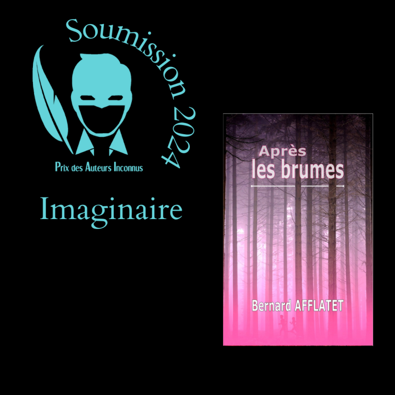 Couverture du roman Après les brumes de Bernard Afflatet. On y voit les hautes silhouettes de dizaines de conifères dénués d'épines sauf à leur cime. Dans la brume rose, à leurs pieds, se devinent les silhouettes d'un homme et d'une femme en train de courir.